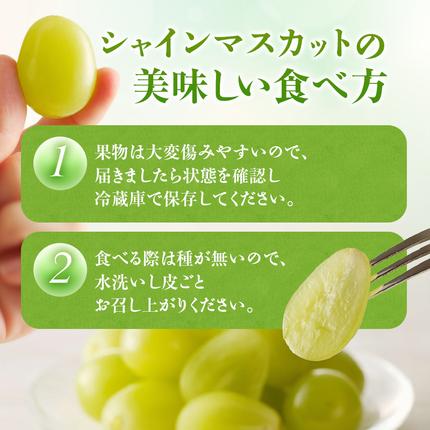 岡山県瀬戸内市のふるさと納税 【2026年先行受付】 シャインマスカット 晴王 秀品 約600g 1房 岡山県産 ぶどう 葡萄 ブドウ 御中元 ギフト 御礼 プレゼント 御礼 御祝 御供 果物 くだもの フルーツ