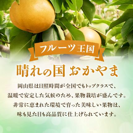 岡山県瀬戸内市のふるさと納税 【2026年先行受付】 梨 あたご梨  秀品 約4kg(3～6玉) 岡山名産 日本一大きな梨 なし ナシ お歳暮 ギフト 御礼 プレゼント 御礼 御祝 御供 果物 くだもの フルーツ