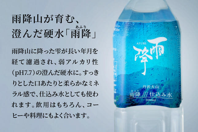 神奈川県伊勢原市のふるさと納税 丹沢大山 雨降///仕込み水 500ml 1箱 24本セット｜硬水 ミネラルウォーター 雨降山 あふり 大山阿夫利神社 [0862]