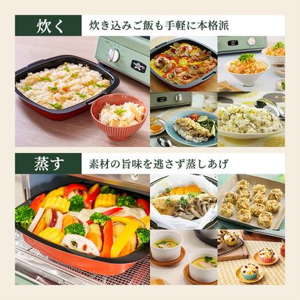 限定カラー アラジン グリル ＆ トースター 4枚焼き ブリテッシュ