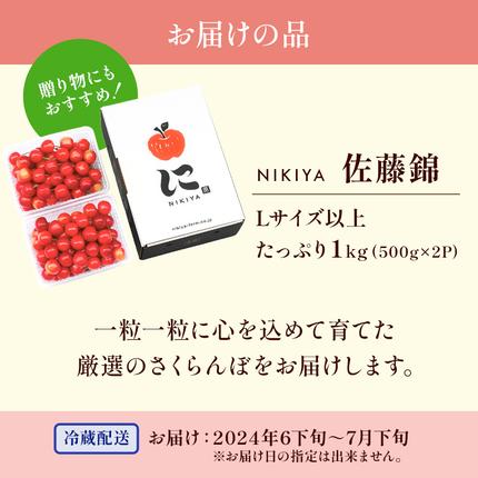 さくらんぼ 2027年発送 北海道 仁木町産 佐藤錦 1kg(500g×2)Lサイズ