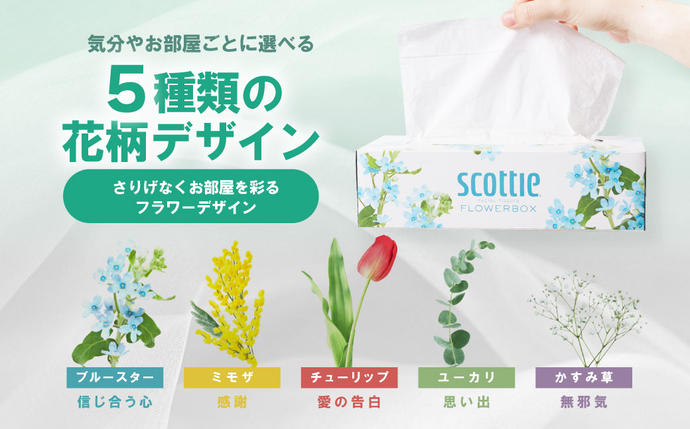 熊本県八代市のふるさと納税 【スコッティ】 ティシュー フラワーボックス 250組 5箱  ティッシュ 日用品 生活必需品 防災備蓄 ストック 備蓄 新生活 防災 消耗品 生活用品 日用消耗品 箱ティッシュ