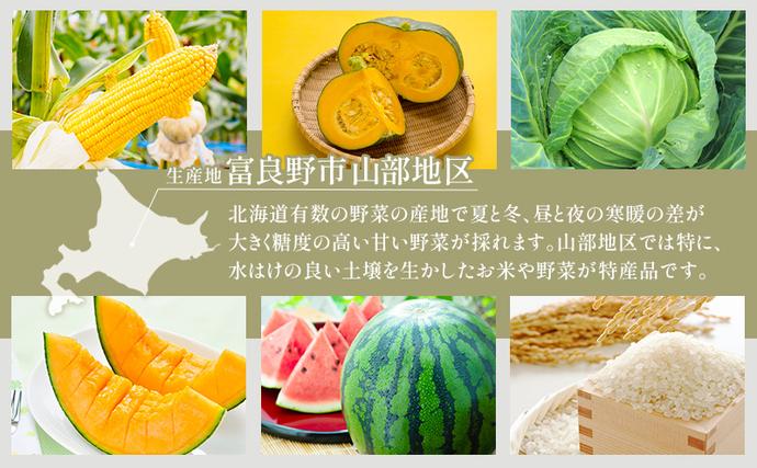 2026年夏発送】富良野産 里農園の〈赤肉メロン〉 1玉 2kg以上 メロン