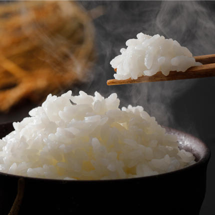 令和7年産! 石見高原みずほ米コシヒカリ 無洗米仕上 5kg / 島根県邑南