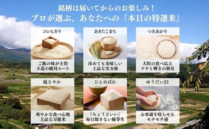 令和7年産 お米マイスターおすすめ小諸米 精米 2kg 信州 長野 ごはん