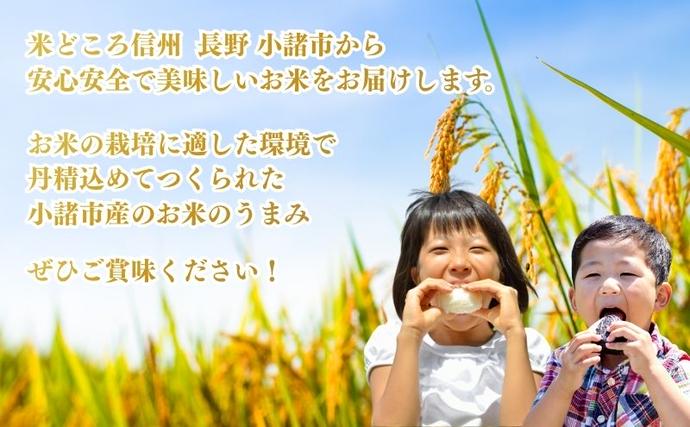 令和7年産 お米マイスターおすすめ小諸米 精米 2kg 信州 長野 ごはん