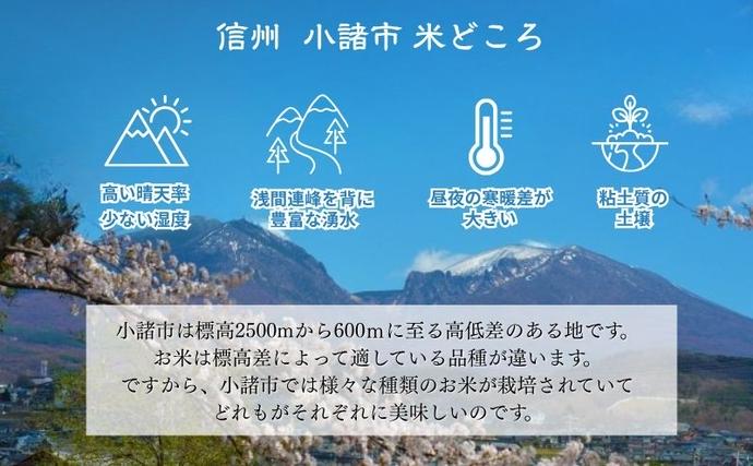令和7年産 お米マイスターおすすめ小諸米 精米 2kg 信州 長野 ごはん