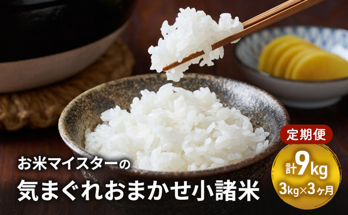 お米マイスターおすすめ小諸米 精米 3kg