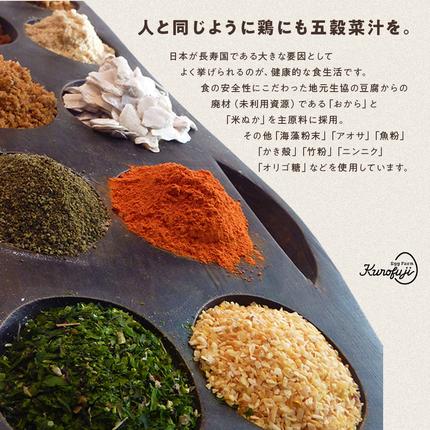 山梨県甲斐市のふるさと納税 森のバウムクーヘン　2個セット　人気　おすすめ　国産　贈答　ギフト　お取り寄せスイーツ　お菓子　バウムクーヘン　卵　たまご　タマゴ　玉子　鶏卵　放牧卵　平飼い　新鮮　