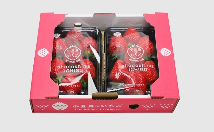 香川県土庄町のふるさと納税 【 小豆島 】【3月からの発送】小豆島のいちご（女峰）DXパック (250g×2パック入り) 果物類 苺 イチゴ