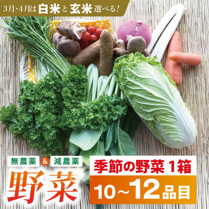 茨城県行方市のふるさと納税 身体が喜ぶ季節の野菜 10～12品目(3月、4月は米 5kg)｜米 お米 こめ 玄米 野菜 野菜セット 栽培期間農薬不使用 茨城県共通返礼品 共通返礼品 茨城県 潮来市 行方市(BI-8)