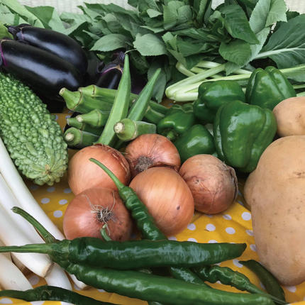 茨城県行方市のふるさと納税 身体が喜ぶ季節の野菜 10～12品目(3月、4月は米 5kg)｜米 お米 こめ 玄米 野菜 野菜セット 栽培期間農薬不使用 茨城県共通返礼品 共通返礼品 茨城県 潮来市 行方市(BI-8)