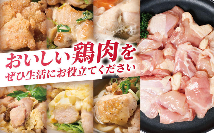 熊本県八代市のふるさと納税 九州産 若鶏 もも切身 合計3.0kg（300g×10袋） 肉 国産 鶏肉 とり肉 鶏もも肉 鳥もも肉 弁当 小分け パック 唐揚げ おかず 冷凍