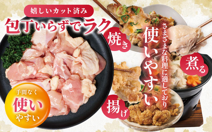 熊本県八代市のふるさと納税 九州産 若鶏 もも切身 合計3.0kg（300g×10袋） 肉 国産 鶏肉 とり肉 鶏もも肉 鳥もも肉 弁当 小分け パック 唐揚げ おかず 冷凍