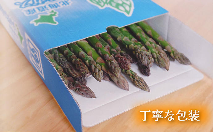 北海道富良野市のふるさと納税 【春野菜 鮮度抜群 】富良野産 アスパラガス サイズ無選別 800g×2箱｜北海道富良野市 4～5月上旬発送 シャキシャキ食感 贅沢 ギフト プレゼント アスパラ アスパラガス グリーンアスパラ 料理用 春季限定