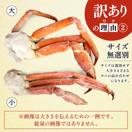 宮城県気仙沼市のふるさと納税 訳あり ボイル ずわいがに 肩付き脚 総重量1kg [カネダイ 宮城県 気仙沼市 20564325] カニ かに 魚介類 ズワイガニ ずわい蟹 ズワイ蟹 ずわい ズワイ 蟹 カニ カニ脚 蟹脚 不揃い 規格外 海鮮 ご褒美