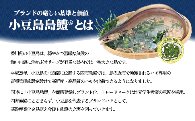 香川県土庄町のふるさと納税 【 小豆島 】テレビで紹介されました！『小豆島島鱧』活け締め骨切り瞬間冷凍 新鮮 海の幸 ハモ