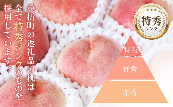 福島県桑折町のふるさと納税 No.139 もも【幸茜・2026年産先行受付】特秀1.5kg　桑折町産　JAふくしま未来　桃