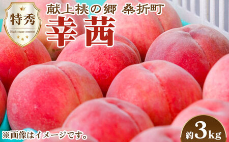 No.140 もも【幸茜・2026年産先行