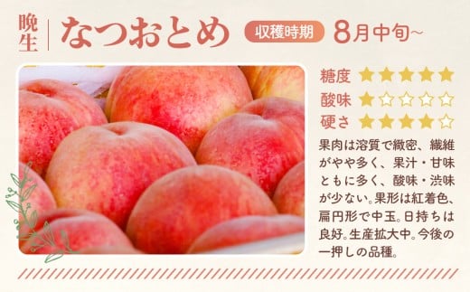 福島県桑折町のふるさと納税 No.167 もも【なつおとめ・2026年産先行受付】特秀1.5kg　桑折町産　JAふくしま未来　桃