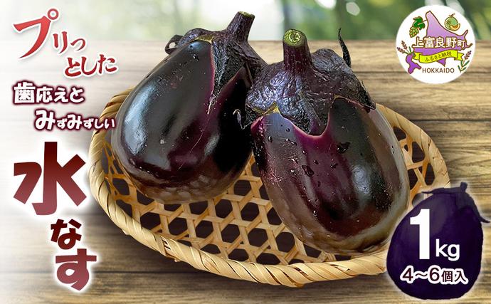 令和8年産】[すずきが育てた新商品！]すずきの水なす 1kg 【プリっと
