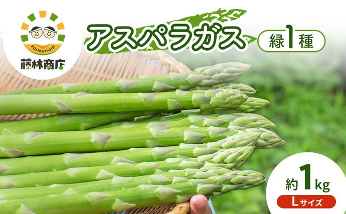 【2026年春発送】数量限定 グリーンアス