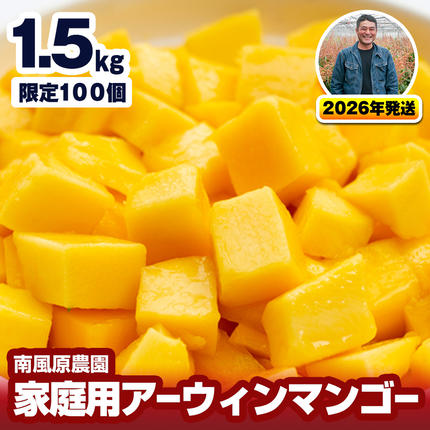 沖縄県南風原町のふるさと納税 【2026年発送】南風原農園　家庭用アーウィンマンゴー1.5kg