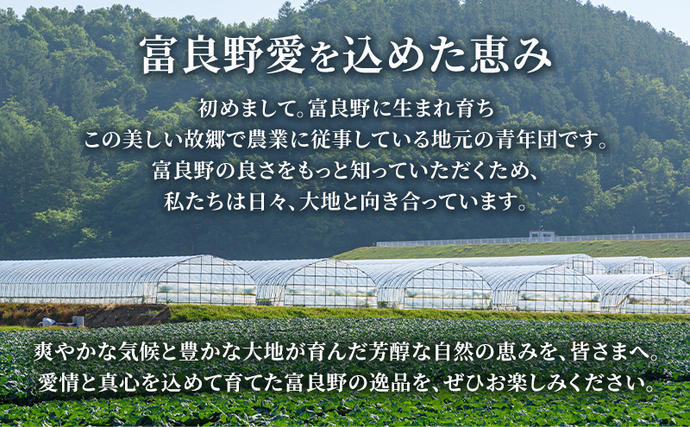 北海道富良野市のふるさと納税 2026年夏～発送 富良野を堪能！贅沢 定期便 年3回  北海道 富良野産 とうもろこし メロン かぼちゃ 野菜 ふらの とうきび