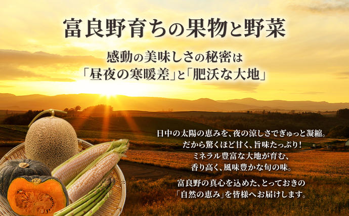 北海道富良野市のふるさと納税 2026年夏～発送 富良野を堪能！贅沢 定期便 年3回  北海道 富良野産 とうもろこし メロン かぼちゃ 野菜 ふらの とうきび