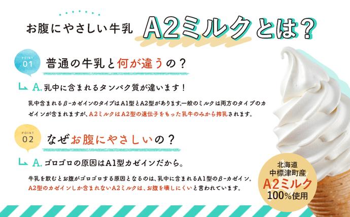 北海道中標津町のふるさと納税 【セゾン限定】中標津町　超乳アイス（ミルク＆チョコ）　140ml×12個セット　計1680ml【78003】