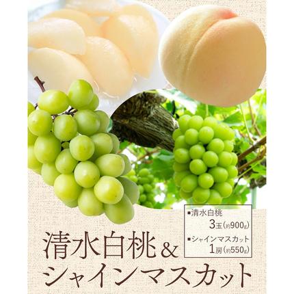 岡山県浅口市のふるさと納税 【先行予約】清水 白桃 3玉 計約900g（1玉約300g）シャインマスカット 晴王 1房 550g以上 もも 葡萄 詰合せ 岡山 国産 フルーツ 果物 ギフト 桃茂實苑《7月中旬-8月上旬頃出荷》岡山県 浅口市 フルーツ ぶどう 桃 果物 青果【配送不可地域あり】