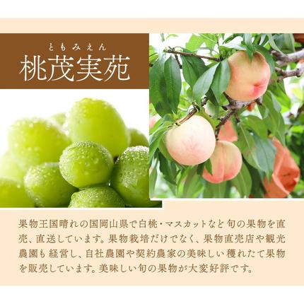 岡山県浅口市のふるさと納税 【先行予約】清水 白桃 3玉 計約900g（1玉約300g）シャインマスカット 晴王 1房 550g以上 もも 葡萄 詰合せ 岡山 国産 フルーツ 果物 ギフト 桃茂實苑《7月中旬-8月上旬頃出荷》岡山県 浅口市 フルーツ ぶどう 桃 果物 青果【配送不可地域あり】