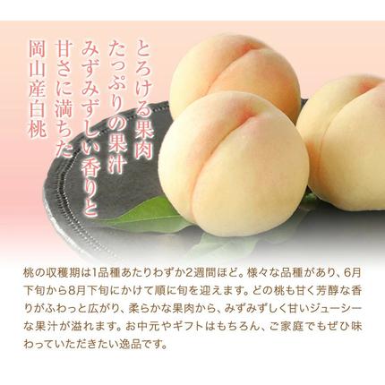 岡山県浅口市のふるさと納税 【先行予約】清水 白桃 3玉 計約900g（1玉約300g）シャインマスカット 晴王 1房 550g以上 もも 葡萄 詰合せ 岡山 国産 フルーツ 果物 ギフト 桃茂實苑《7月中旬-8月上旬頃出荷》岡山県 浅口市 フルーツ ぶどう 桃 果物 青果【配送不可地域あり】