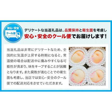 岡山県浅口市のふるさと納税 【先行予約】清水 白桃 3玉 計約900g（1玉約300g）シャインマスカット 晴王 1房 550g以上 もも 葡萄 詰合せ 岡山 国産 フルーツ 果物 ギフト 桃茂實苑《7月中旬-8月上旬頃出荷》岡山県 浅口市 フルーツ ぶどう 桃 果物 青果【配送不可地域あり】