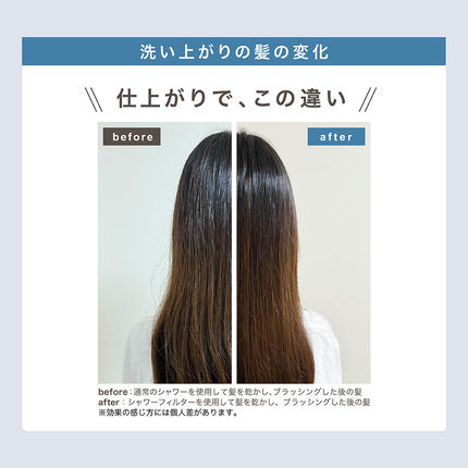 茨城県つくばみらい市のふるさと納税 LINKA esthé アロマエッセンス ビタミンシャワーフィルター（ラベンダー） リンカ LINKA 美容 美容機器 シャワー お風呂 美容液 シャワーヘッド バスタイム 浄水器 リラックス アロマ [EV24-NT]