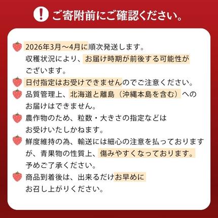 福岡県新宮町のふるさと納税 人気１位獲得謝礼品★限定品★あまおう約１，０８０g（先行受付／２０２６年３月以降発送）.A1609【あまおう】