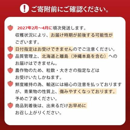 福岡県新宮町のふるさと納税 人気１位獲得謝礼品★限定品★あまおう約１，０８０g（先行受付／２０２７年２月以降発送）.A1609【あまおう】