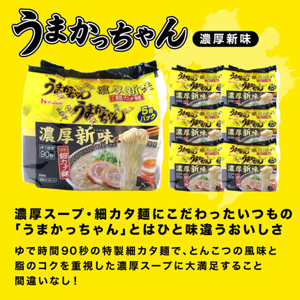 福岡県篠栗町のふるさと納税 VY010 うまかっちゃん 濃厚新味 合計30袋