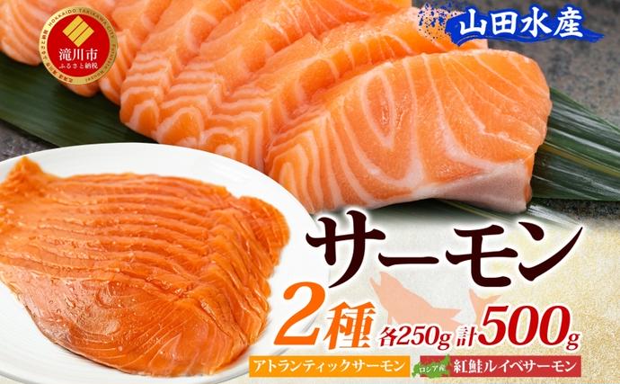 山田水産 アトランティックサーモン ロシア産 紅鮭 ルイベ サーモン 各