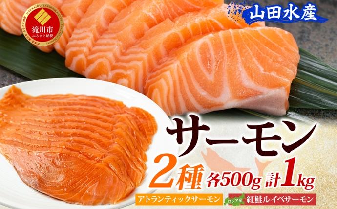 ⭐️サーモン⭐️激安⭐️実績多数⭐️さん専用。 山田水産 アトランティックサーモン ロシア産 紅鮭 ルイベ サーモン 各