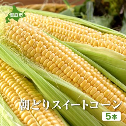 [北海道恵庭市産]朝どりスイートコーン×5本