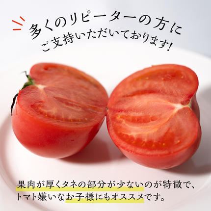 茨城県筑西市のふるさと納税 スーパーフルーツトマト 中箱 約1.2kg × 1箱 【 大玉 12～15玉/1箱】 2026年産 糖度9度 以上 トマト とまと フルーツトマト  フルーツ 野菜 やさい 高糖度 [AF001ci]