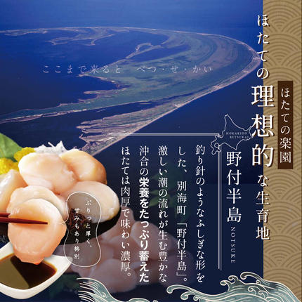 北海道別海町のふるさと納税 【毎月2ヶ月定期便】北海道 野付産 冷凍ホタテ 貝柱 大玉（Sサイズ）ホタテ500ｇ（ほたて ホタテ 帆立 ふるさと納税 お届け）