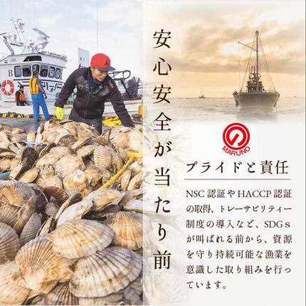 北海道別海町のふるさと納税 【毎月2ヶ月定期便】北海道 野付産 冷凍ホタテ 貝柱 大玉（Sサイズ）ホタテ500ｇ（ほたて ホタテ 帆立 ふるさと納税 お届け）