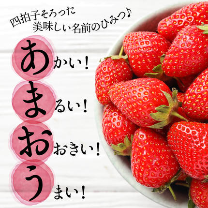 福岡県新宮町のふるさと納税 人気１位獲得謝礼品★限定品★あまおう約１，０８０g（先行受付／２０２６年３月以降発送）.A1609【あまおう】