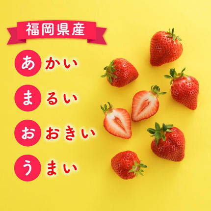 福岡県新宮町のふるさと納税 人気１位獲得謝礼品★限定品★博多あまおう約１，０８０g（先行受付／２０２７年２月以降発送）.A1609【あまおう】