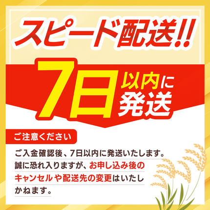 茨城県桜川市のふるさと納税 【 令和7年産 】 コシヒカリ 精米 1kg (茨城県共通返礼品 かすみがうら市) スピード発送 早い 米 ごはん もっちり 甘い コメ お米 白米 銘柄米 5000 [EX029sa]