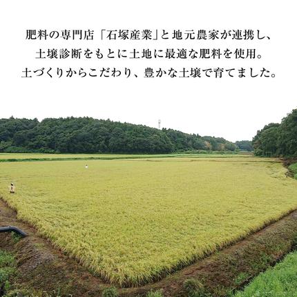 茨城県桜川市のふるさと納税 【 令和7年産 】 極上ふるさと米 精米 5kg (茨城県共通返礼品 かすみがうら市) スピード 最短 7日 すぐ届く すぐ発送 スピード発送 早い 米 ごはん もっちり 甘い コメ お米 白米 コシヒカリ こしひかり あきたこまち にじのきらめき ミルキークイーン オールインワン米 [EX031sa]