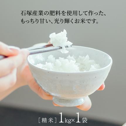茨城県桜川市のふるさと納税 【 令和7年産 】 コシヒカリ 精米 1kg (茨城県共通返礼品 かすみがうら市) スピード発送 早い 米 ごはん もっちり 甘い コメ お米 白米 銘柄米 5000 [EX029sa]