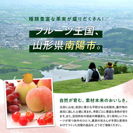 山形県南陽市のふるさと納税 【令和8年産先行予約】 さくらんぼ 「佐藤錦」 540g (180g×3パック 秀 L以上) 《令和8年6月中旬～7月中旬発送》 『フードシステムズ』 サクランボ 果物 山形県 南陽市 [1695]
